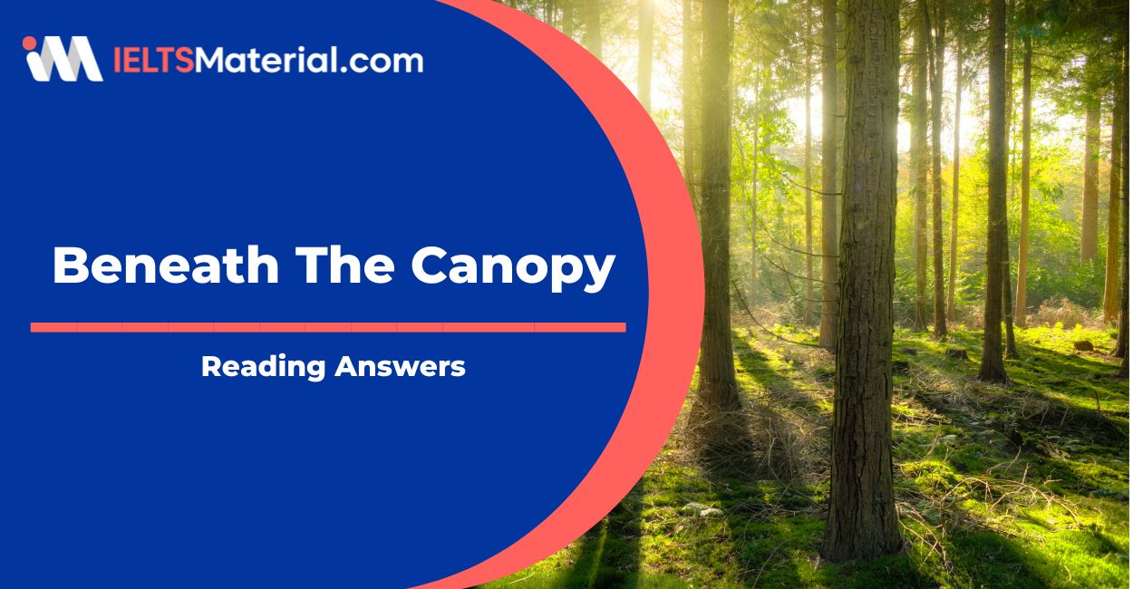 Beneath The Canopy IELTS Reading Answers