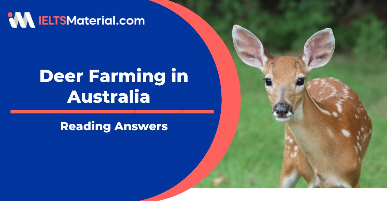 Deer Farming in Australia Reading Answers