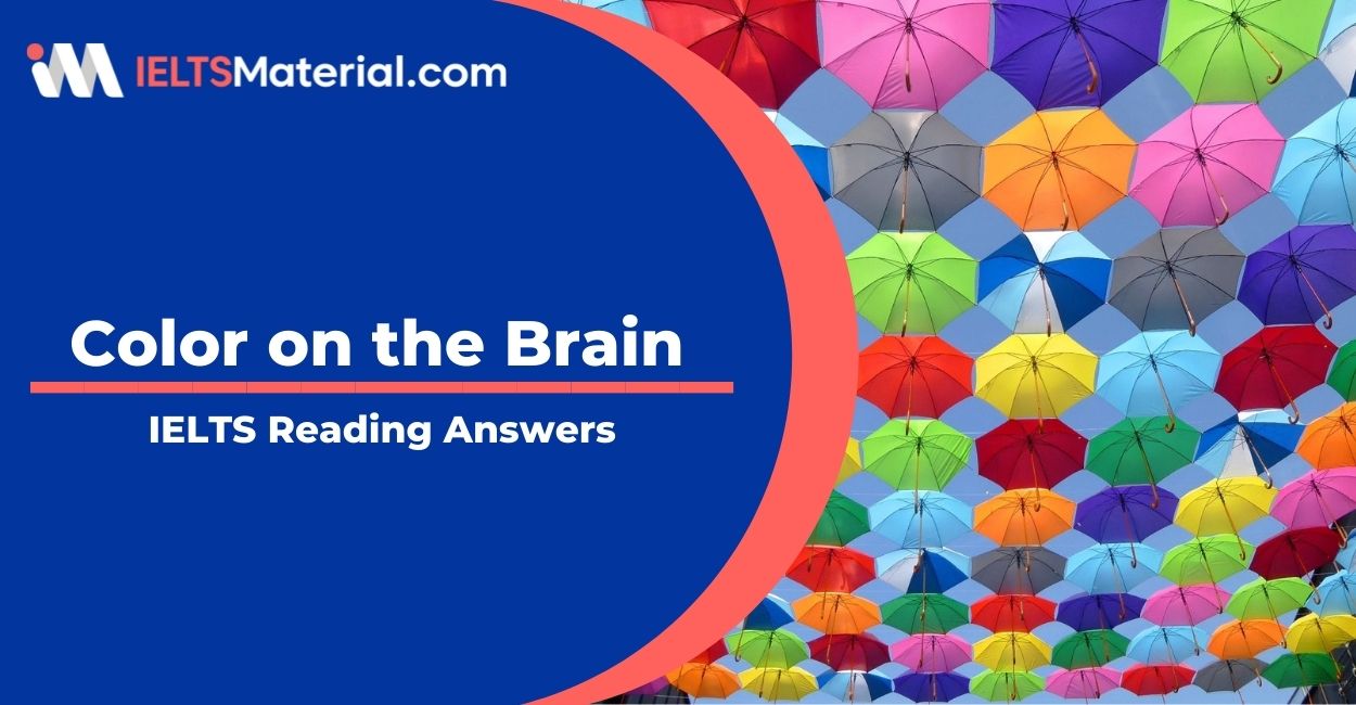 Color on the Brain- IELTS Reading Answer