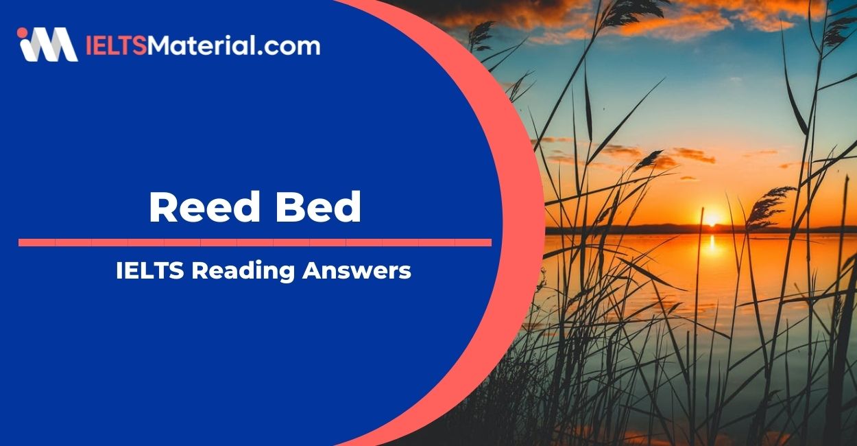 Reed Bed- IELTS Reading Answer