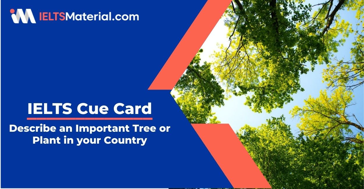 Describe an Important Tree or Plant in your Country-IELTS Cue Card