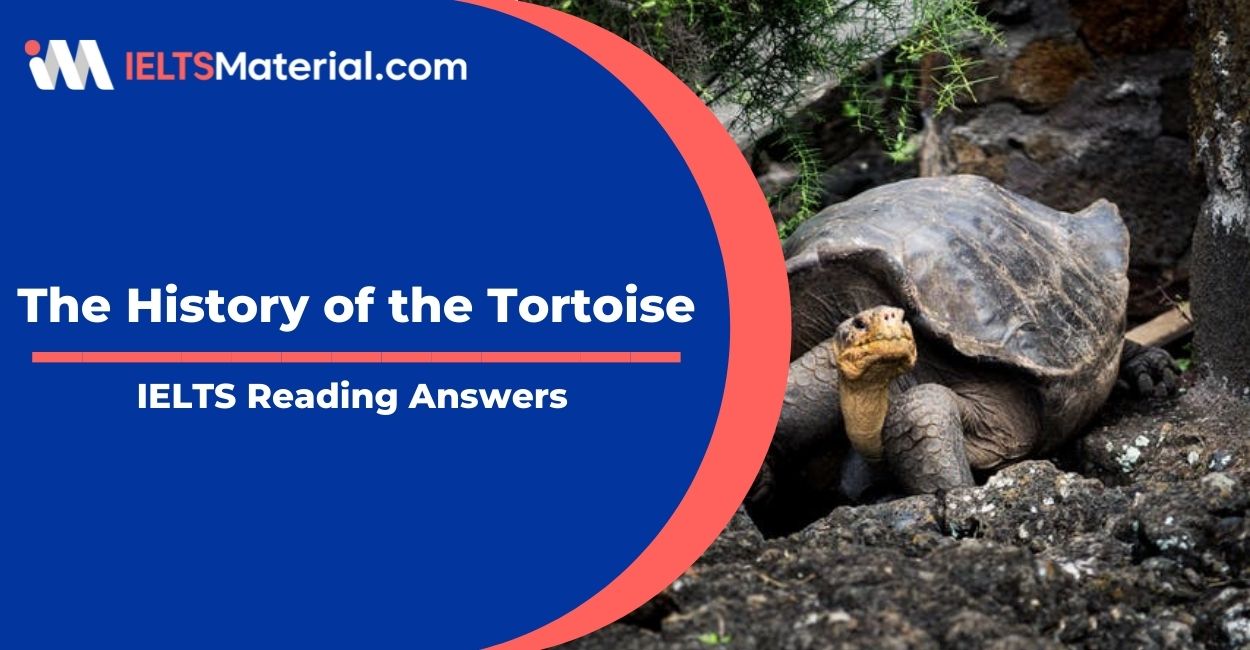 The History of the Tortoise- IELTS Reading Answers