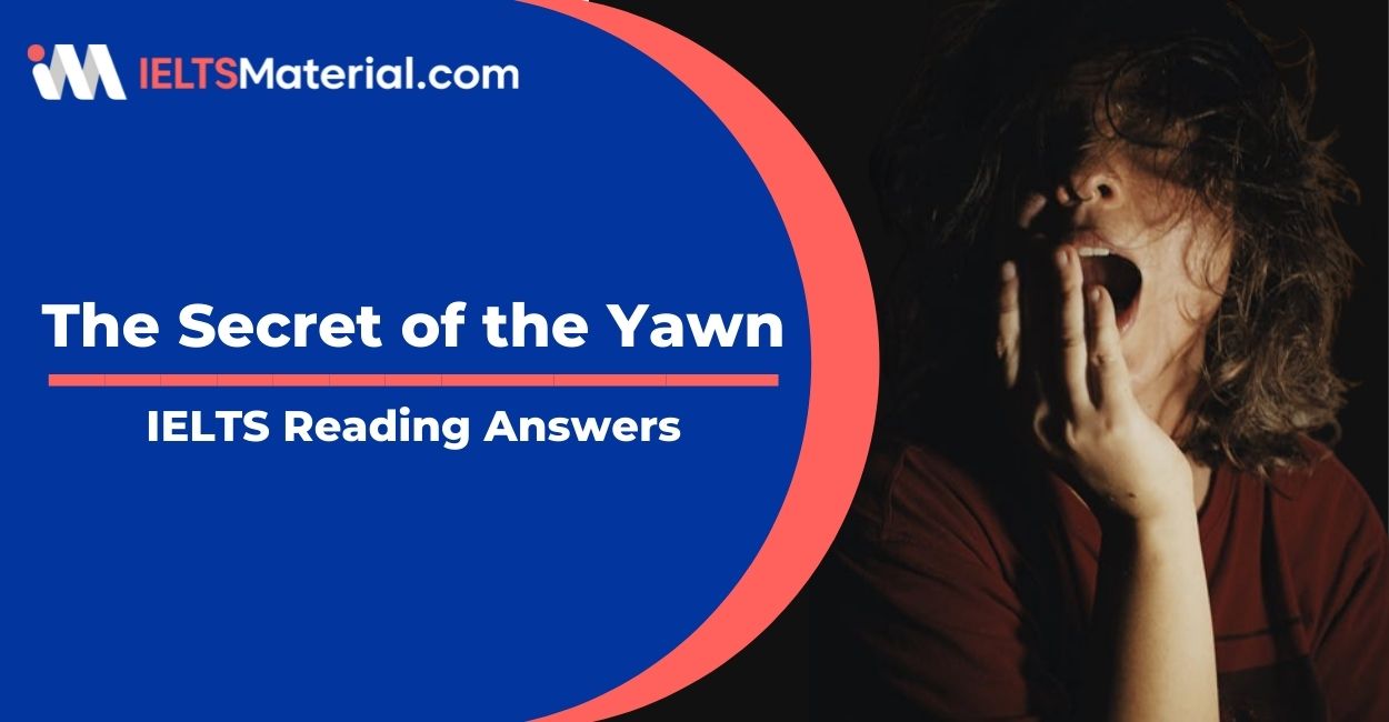 The Secret of the Yawn- IELTS Reading Answer