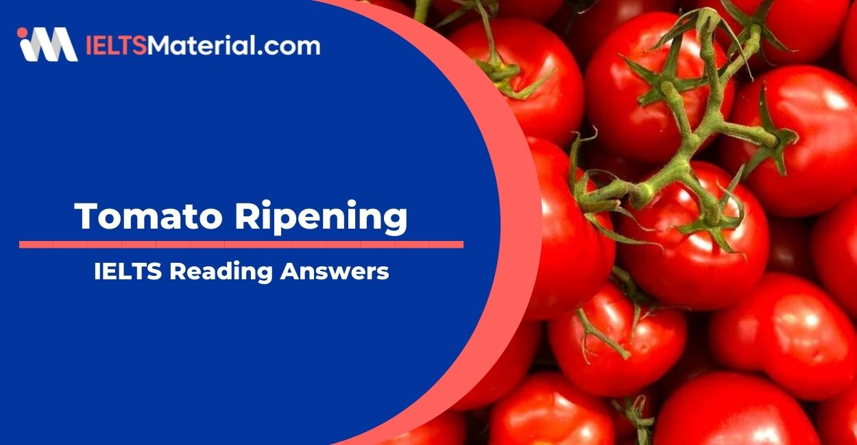 Tomato Ripening- IELTS Reading Answers