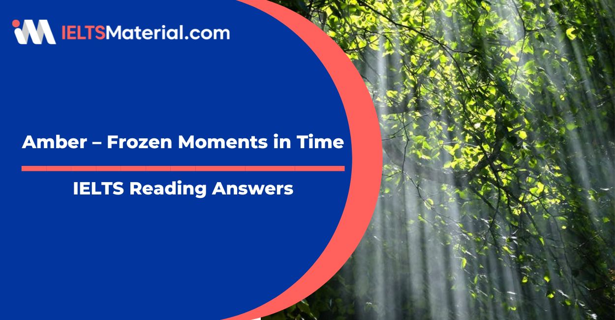 Amber – Frozen Moments іn Time- IELTS Reading Answer