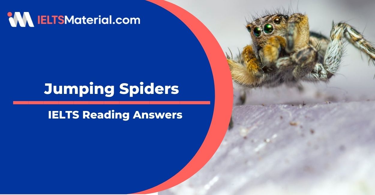 Jumping Spiders- IELTS Reading Answers