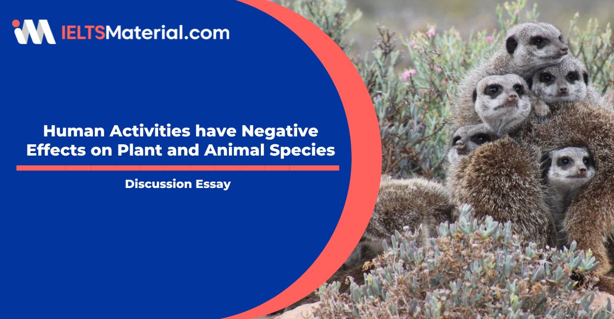 Human Activities have Negative Effects on Plant and Animal Species- IELTS  Writing Task 2 