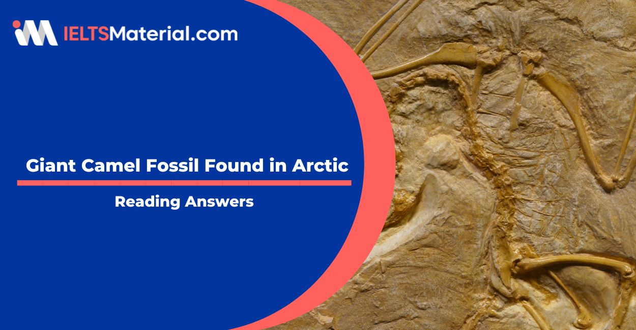 Giant Camel Fossil Found in Arctic Reading Answers