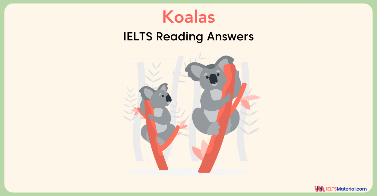 Koalas- Reading Answer