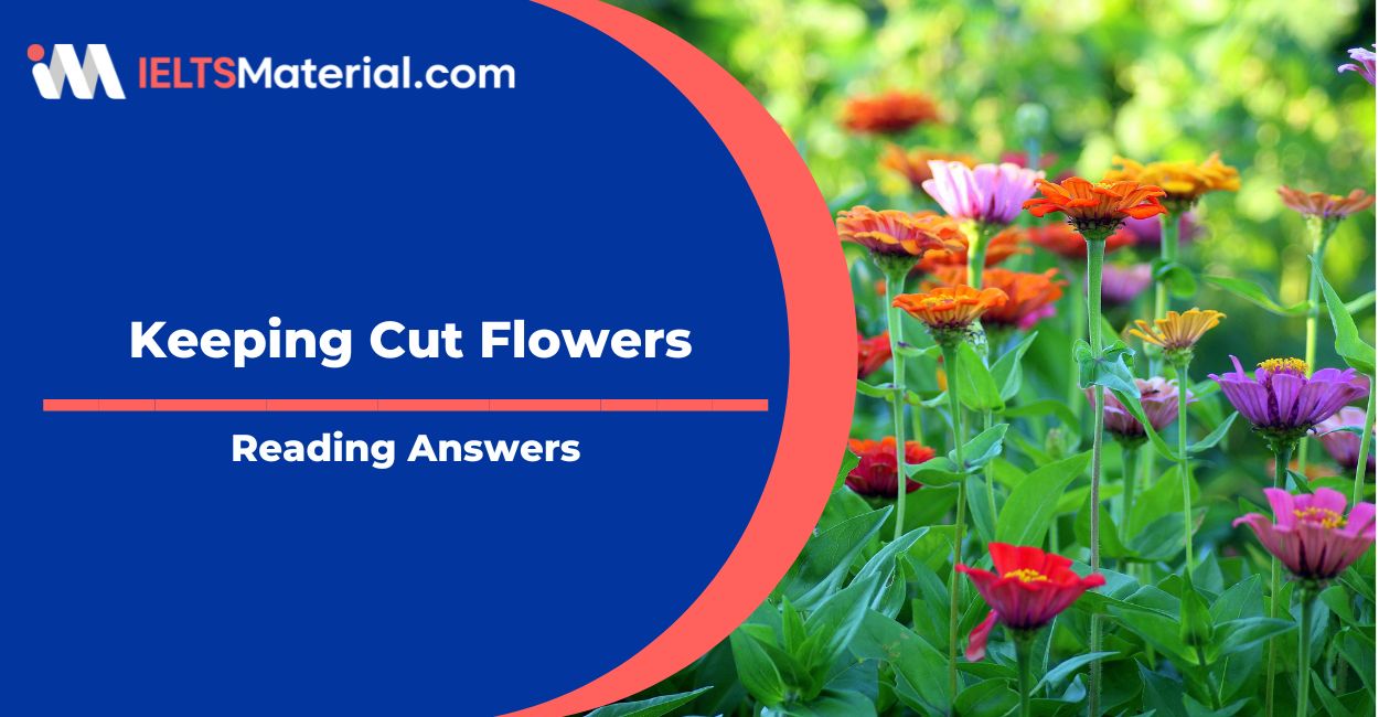 Keeping Cut Flowers – IELTS Reading Answers