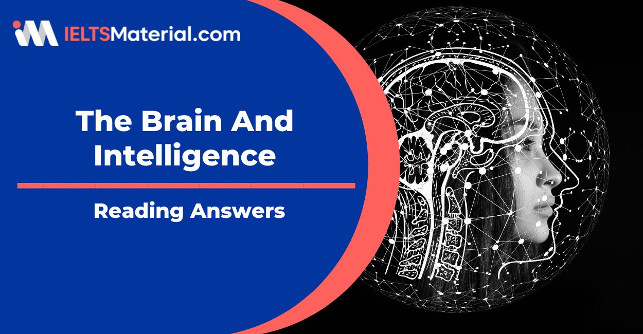 The Brain And Intelligence Reading Answers