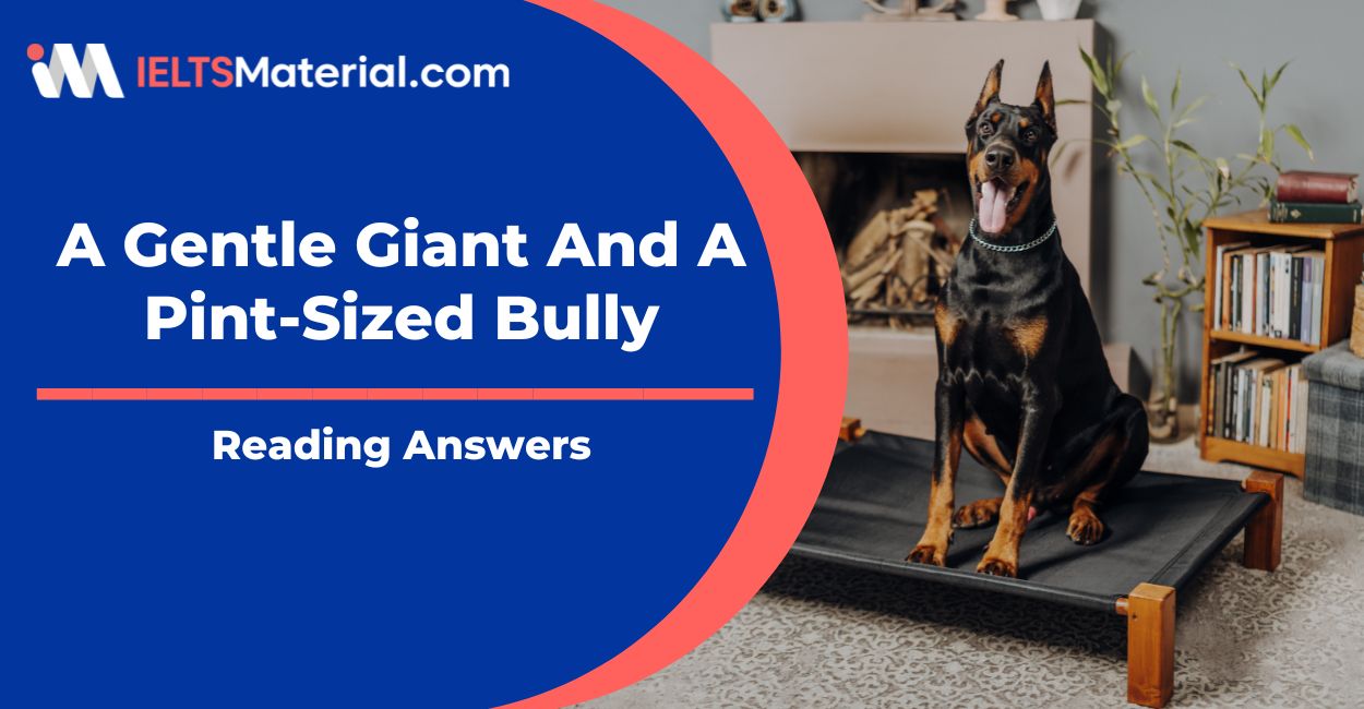A Gentle Giant And A Pint-Sized Bully Reading Answers