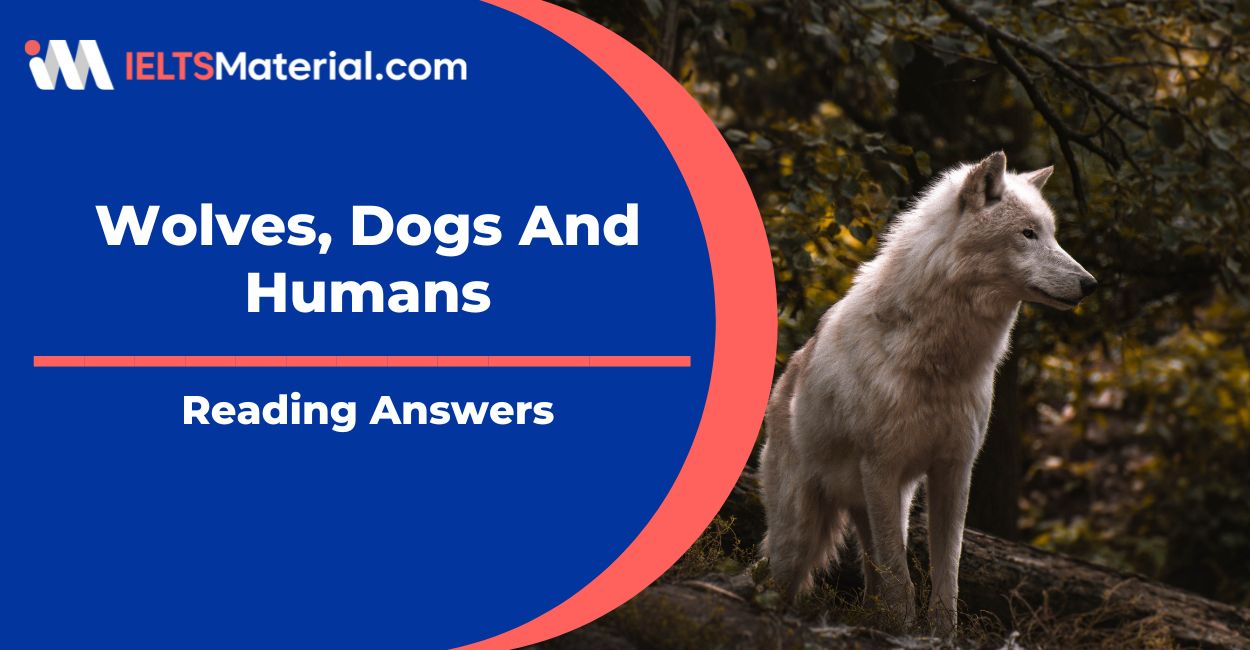 Wolves, Dogs And Humans Reading Answers