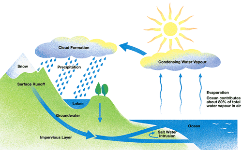IELTS Process chart for water cycle