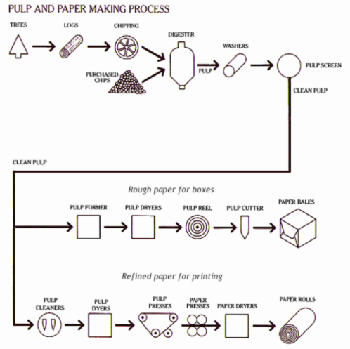 IELTS Process diagram for the process of making pulp and paper