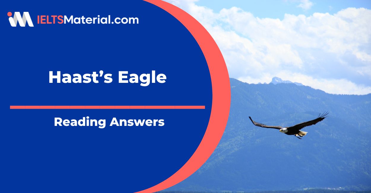 Haast’s Eagle Reading Answers