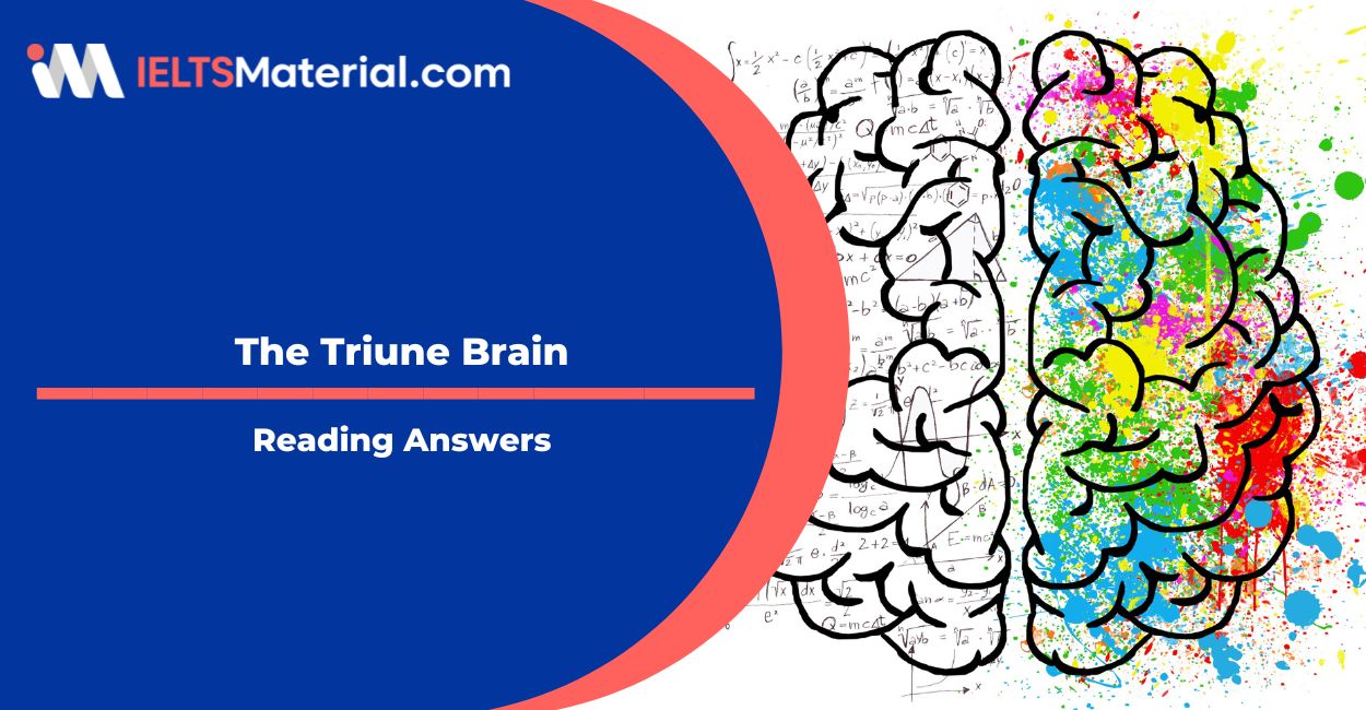 The Triune Brain Reading Answers