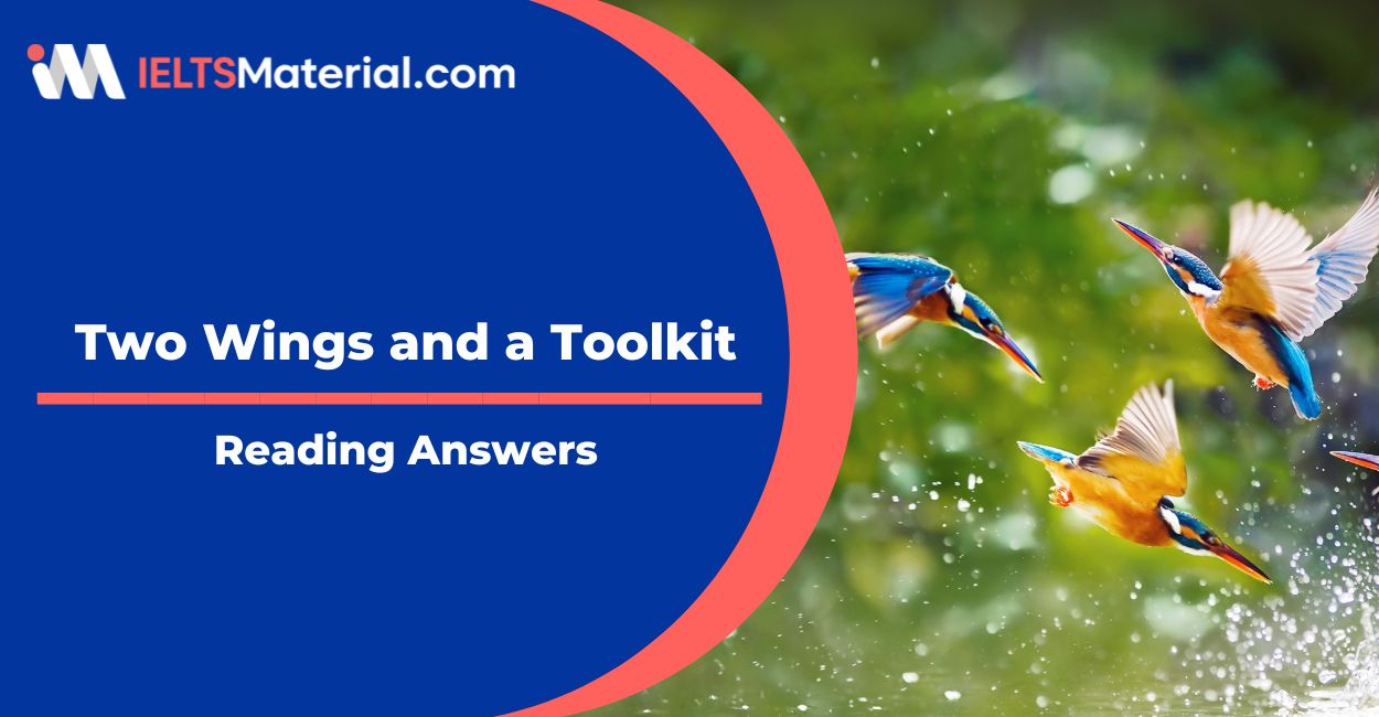 Two Wings and a Toolkit Reading Answers