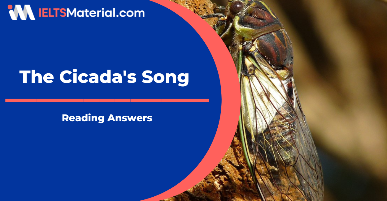 The Cicada's Song Reading Answers 