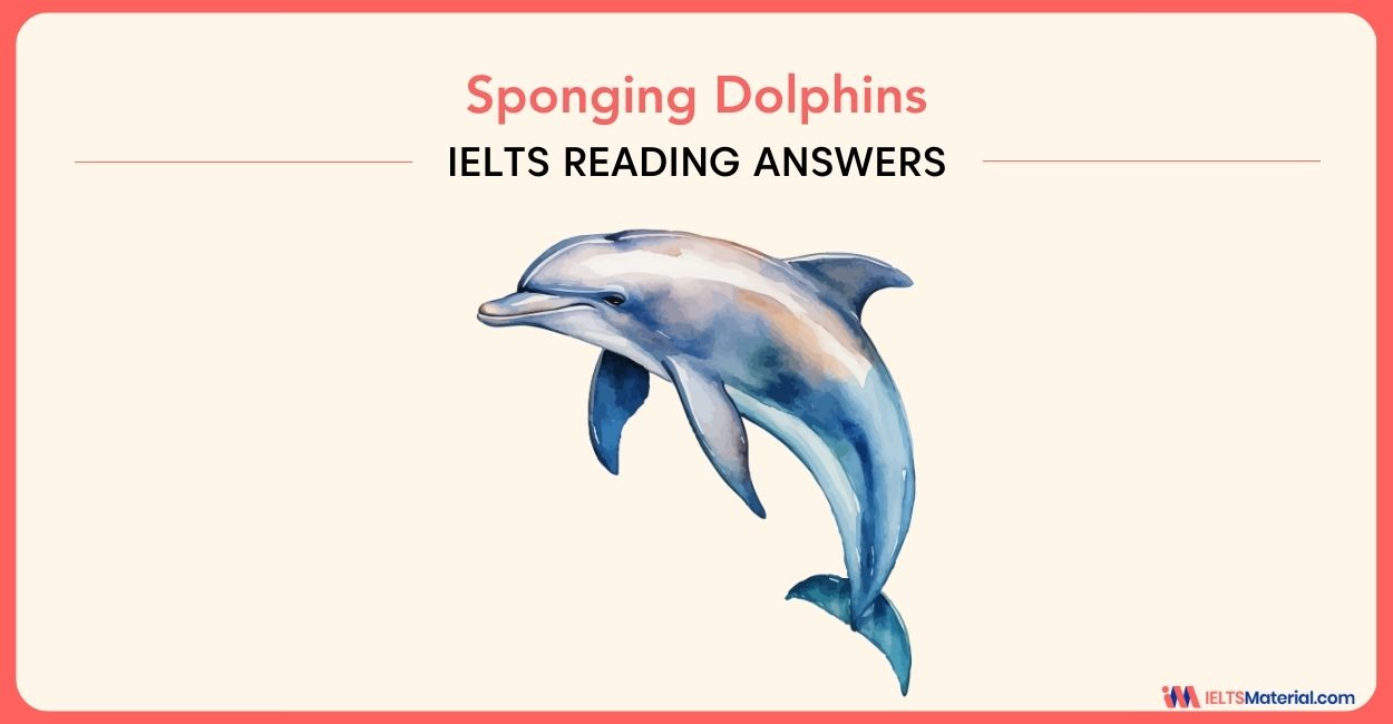 Sponging Dolphins – IELTS Reading Answers