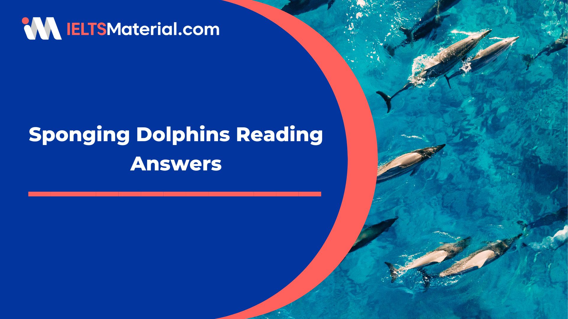 Sponging Dolphins Reading Answers