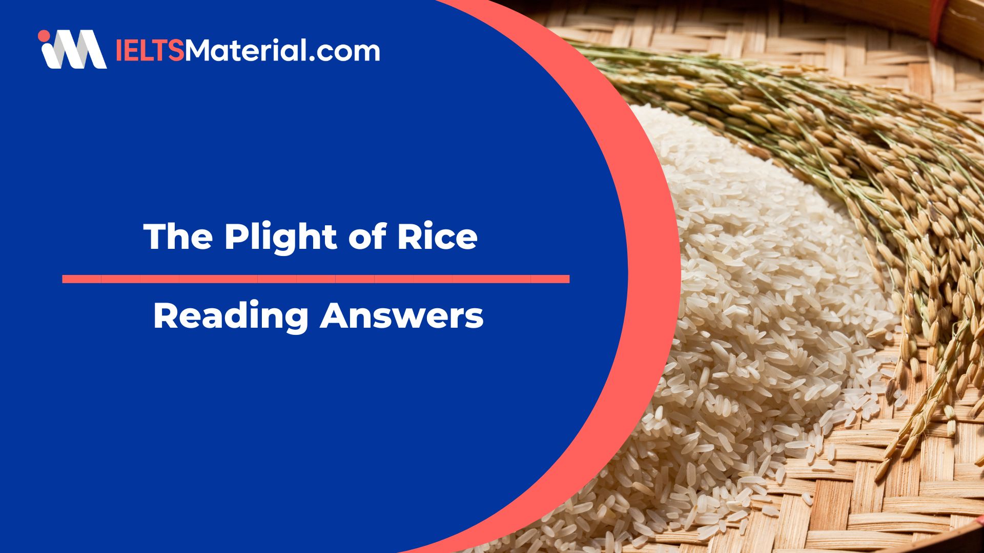 The Plight of Rice Reading Answers