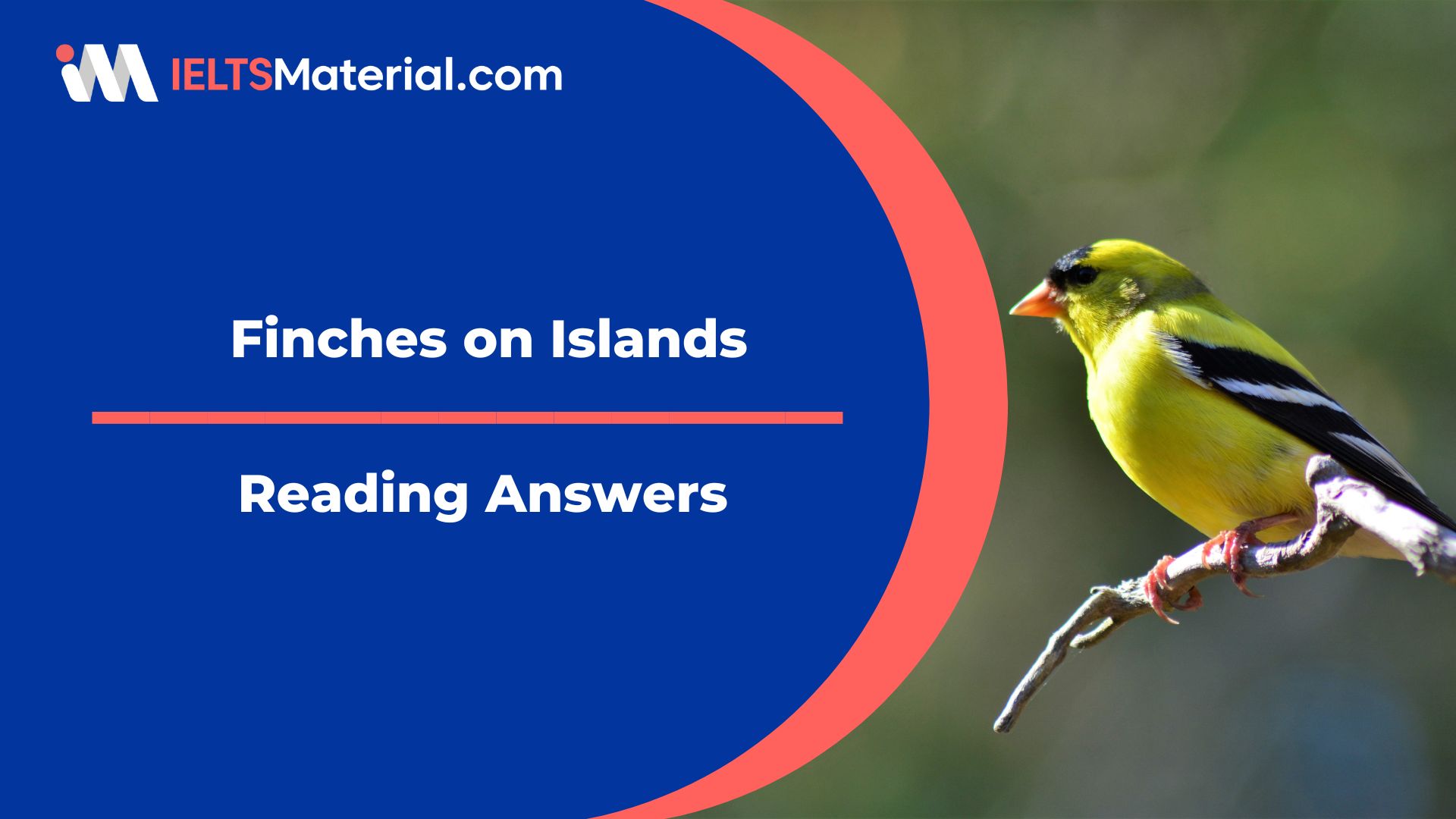 Finches on Islands Reading Answers