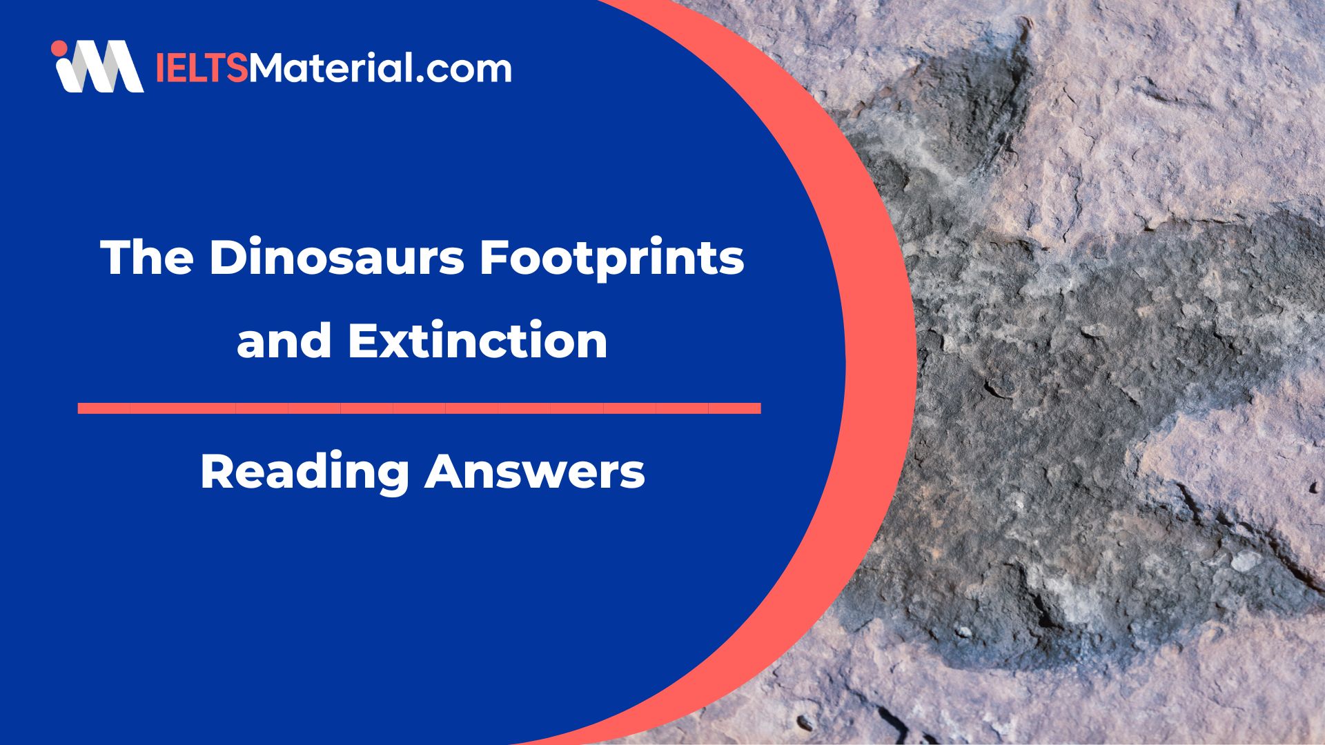 The Dinosaurs Footprints and Extinction Reading Answers
