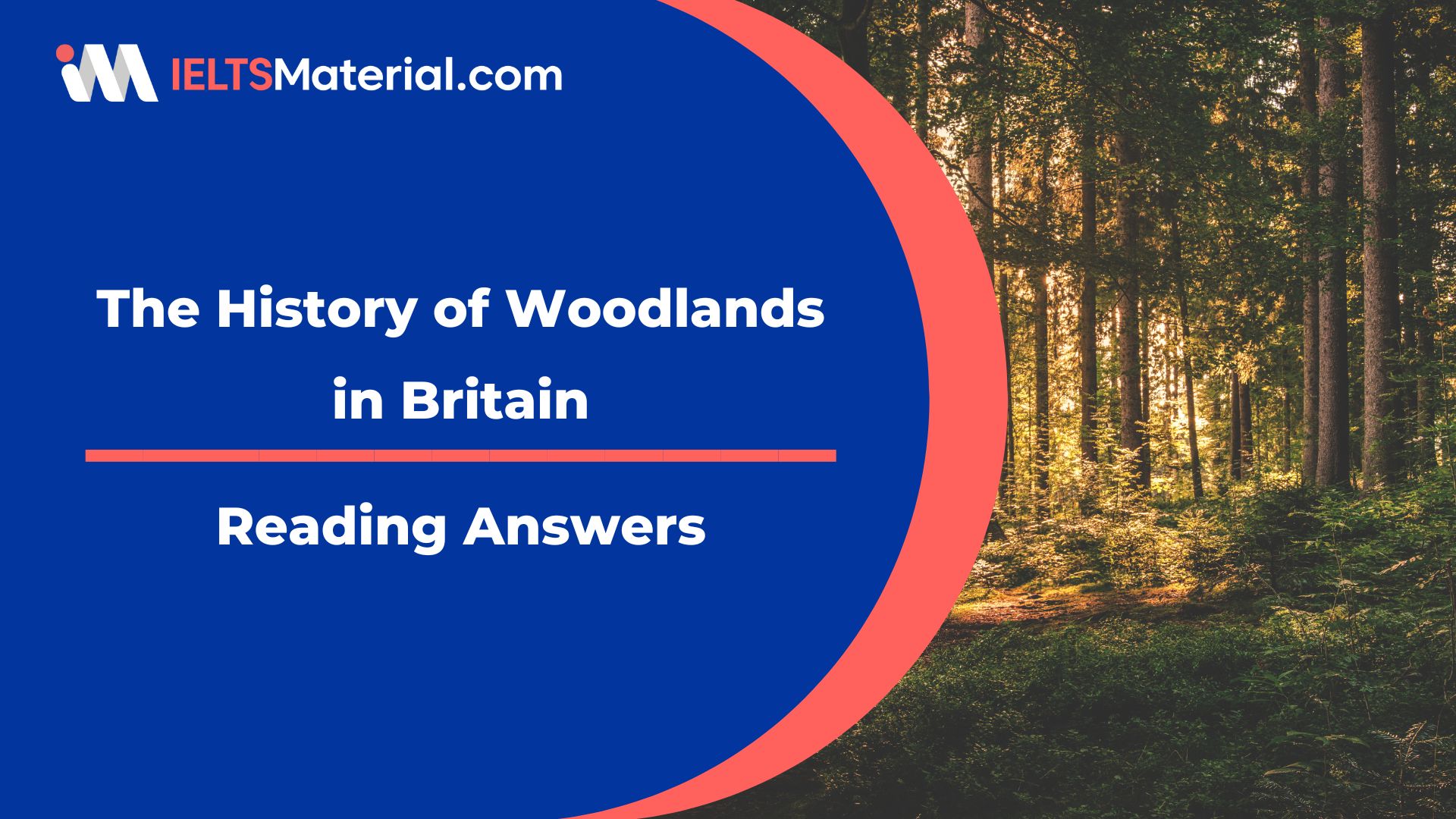 The History of Woodlands in Britain Reading Answers