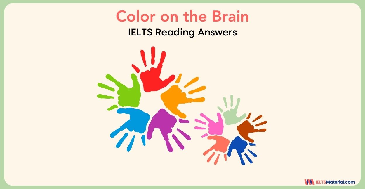 Color on the Brain- IELTS Reading Answer