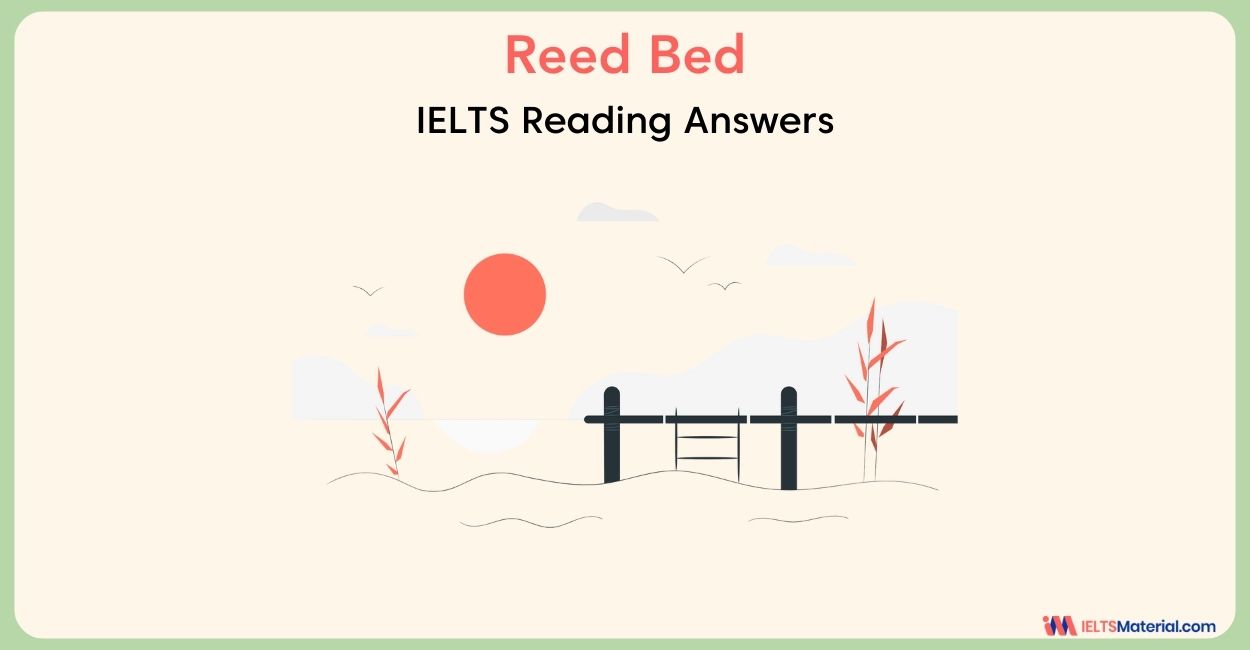 Reed Bed- IELTS Reading Answer