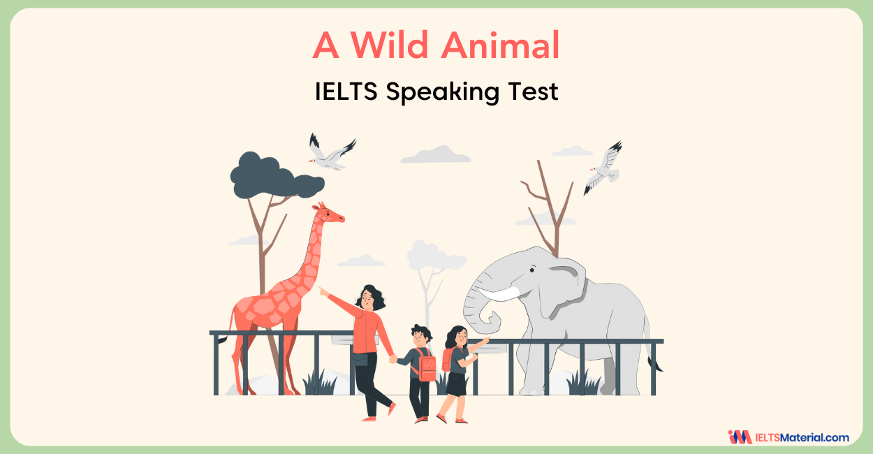 A Wild Animal – IELTS Speaking Practice Test with Answers