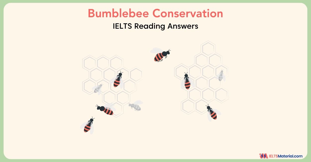 Bumblebee Conservation- IELTS Reading Answers