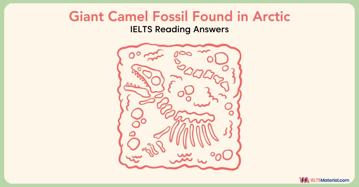 Giant Camel Fossil Found in Arctic Reading Answers