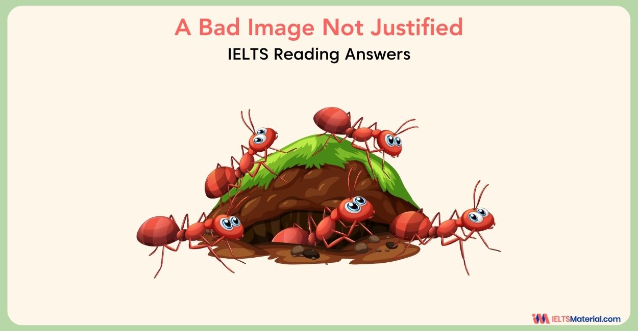A Bad Image Not Justified Reading Answers