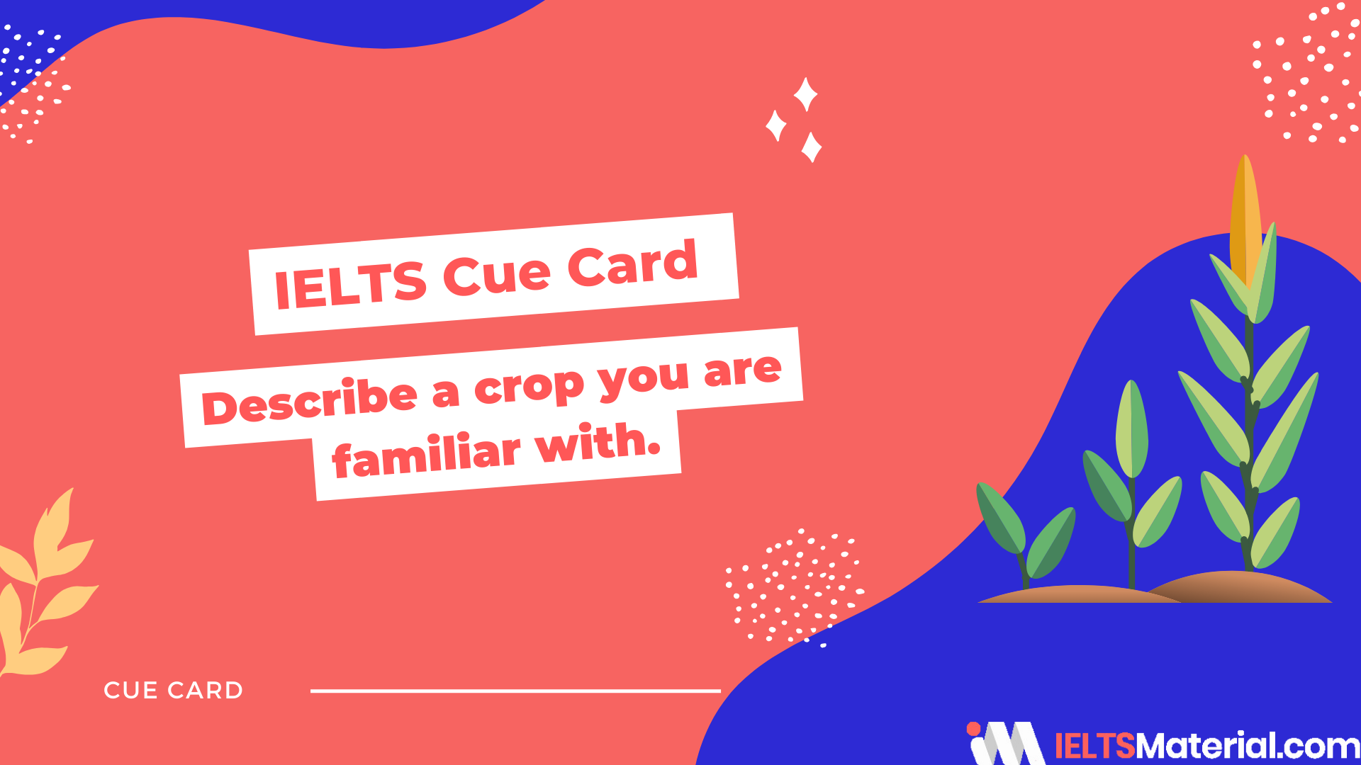 Describe a crop you are familiar with – IELTS Cue Card