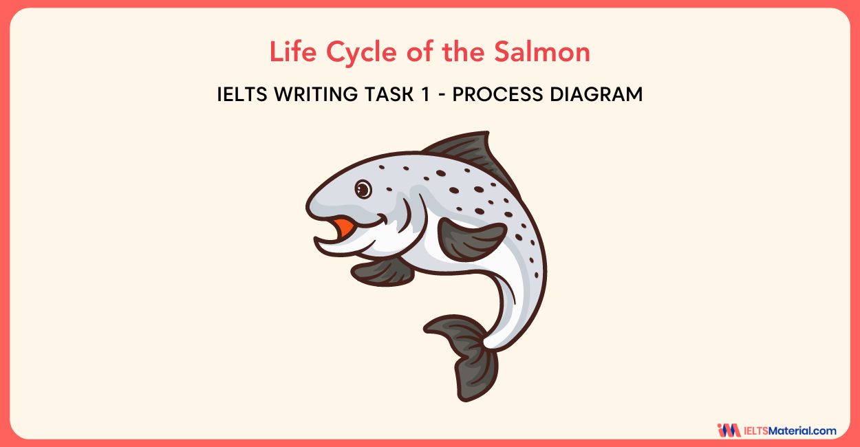 Life Cycle of the Salmon – IELTS Writing Task 1