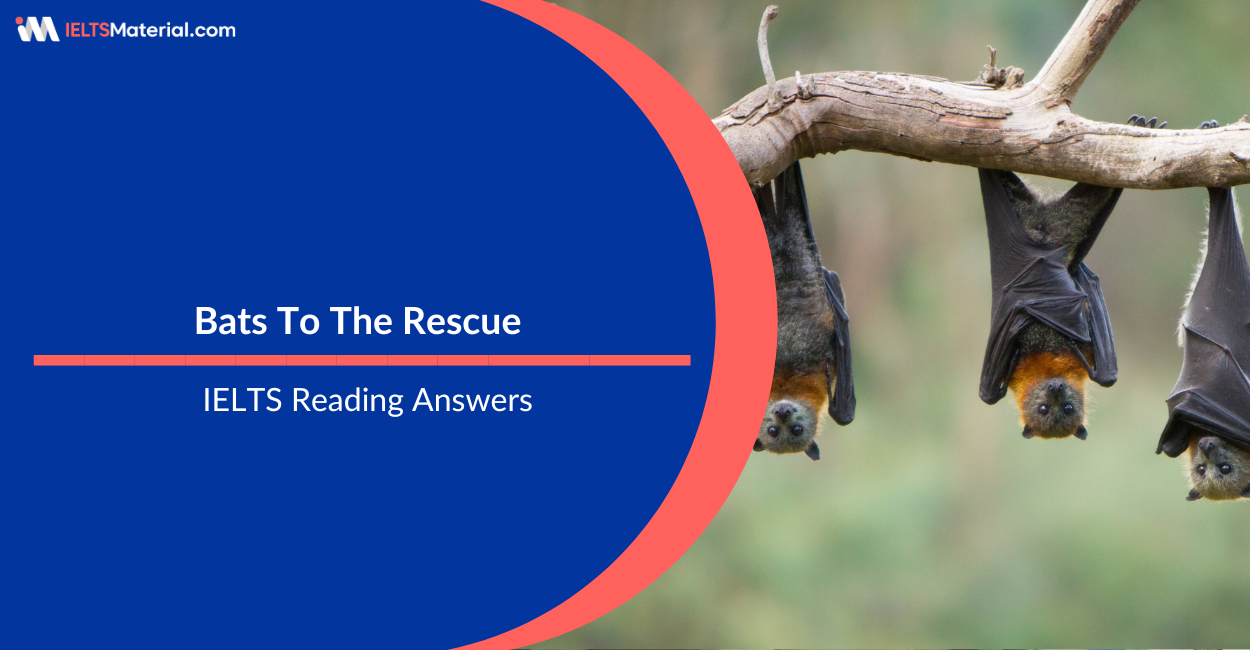 Bats To The Rescue – IELTS Reading Answers