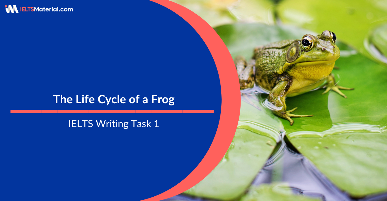 IELTS Writing Task 1 Essay: The Life Cycle of a Frog