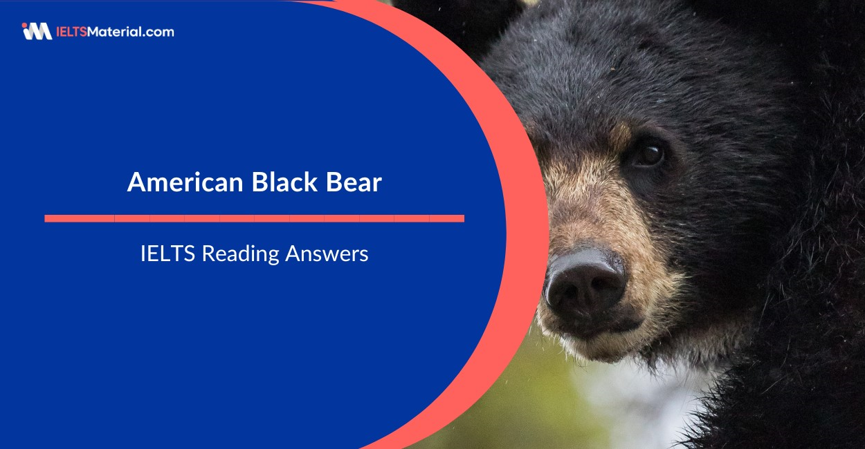 American Black Bear – IELTS Reading Answers