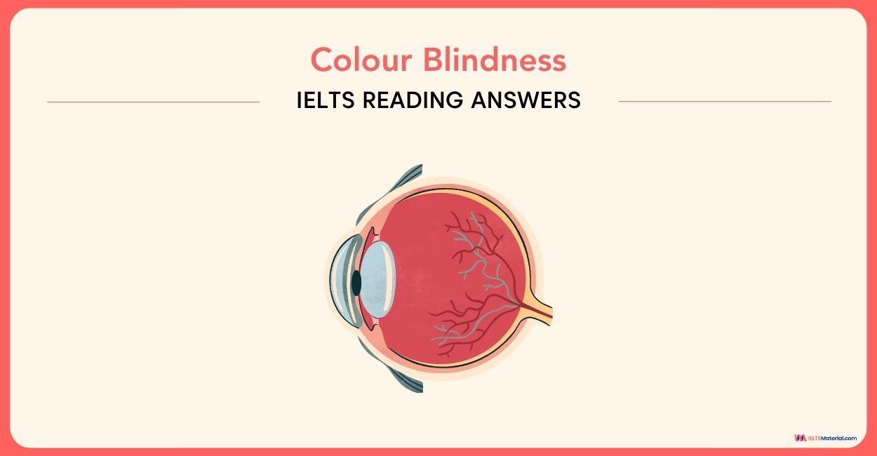 Colour Blindness- IELTS Reading Answers