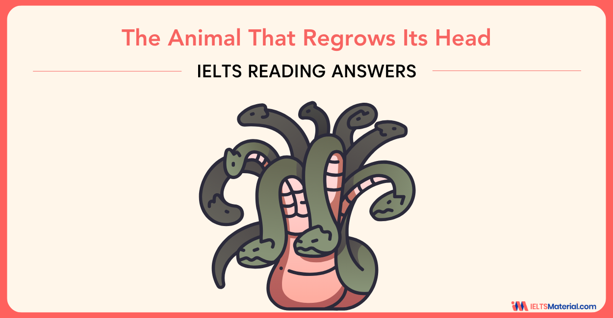 The Animal That Regrows Its Head – IELTS Reading Answers