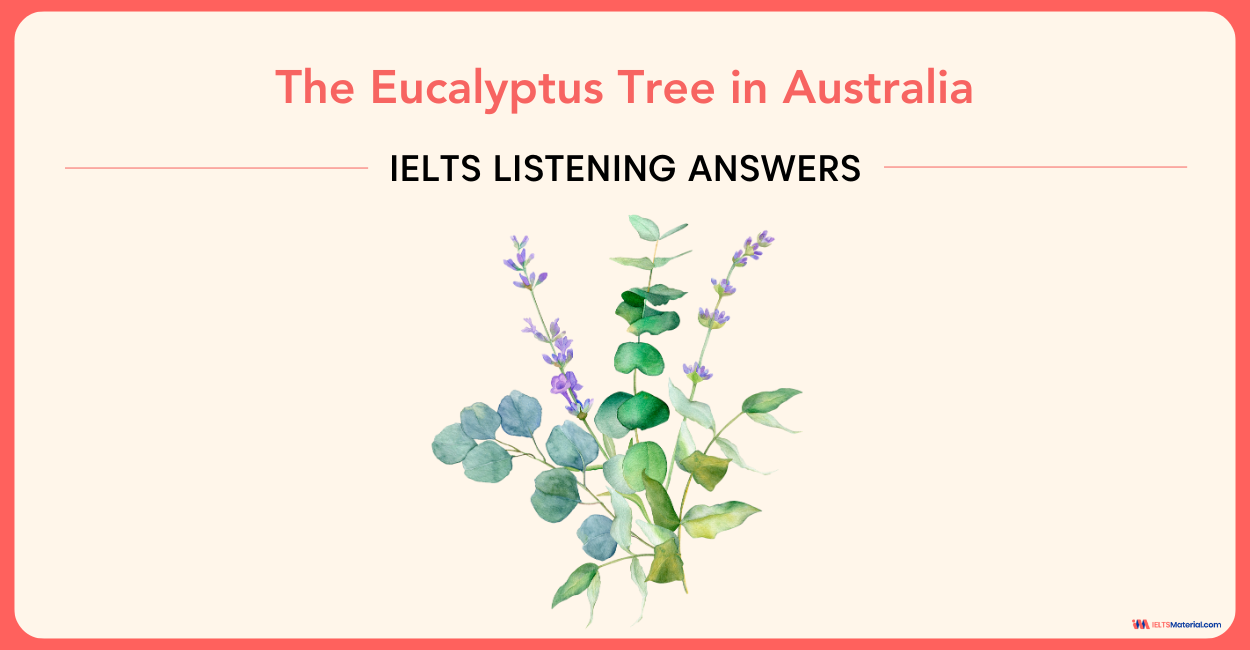 The Eucalyptus Tree in Australia – IELTS Listening Answers