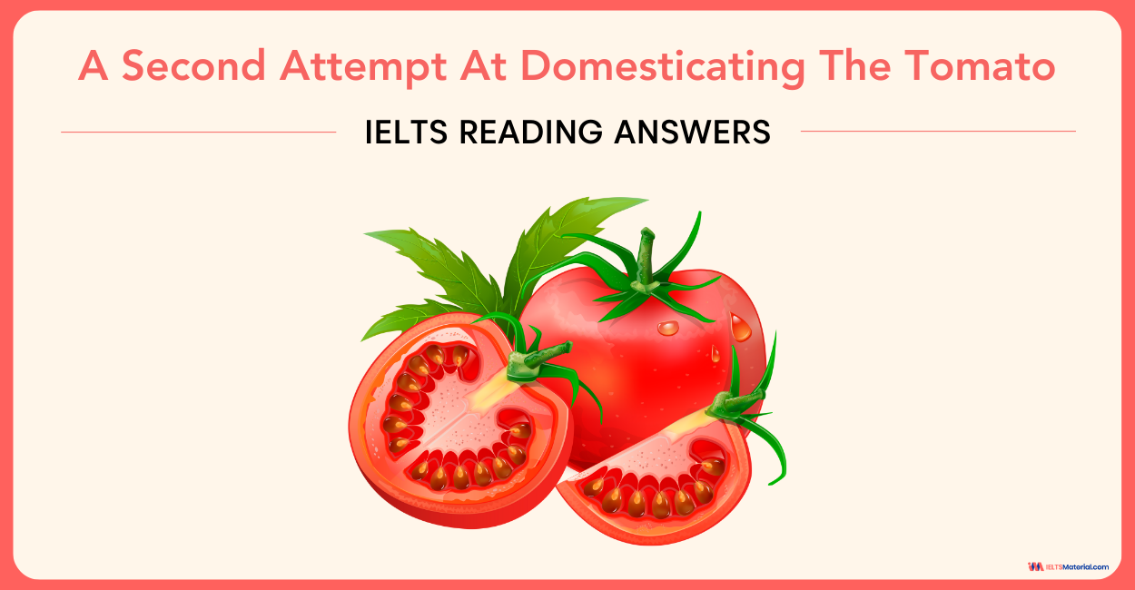 A Second Attempt At Domesticating The Tomato – IELTS Reading Answers