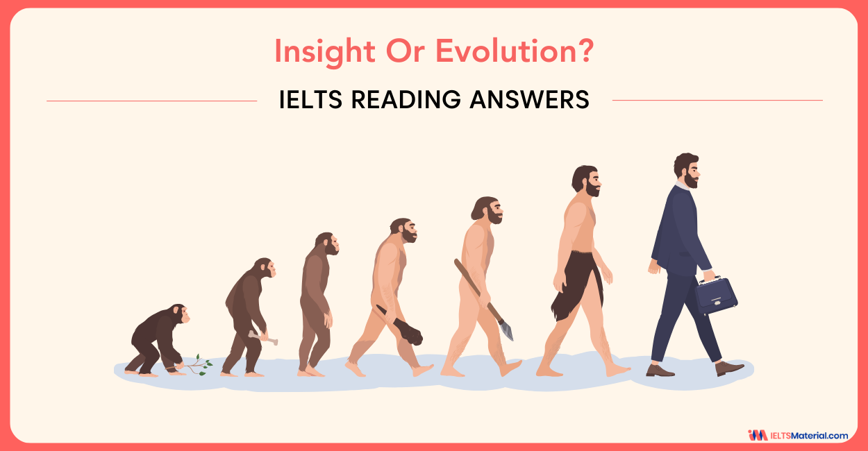Insight Or Evolution? – IELTS Reading Answers