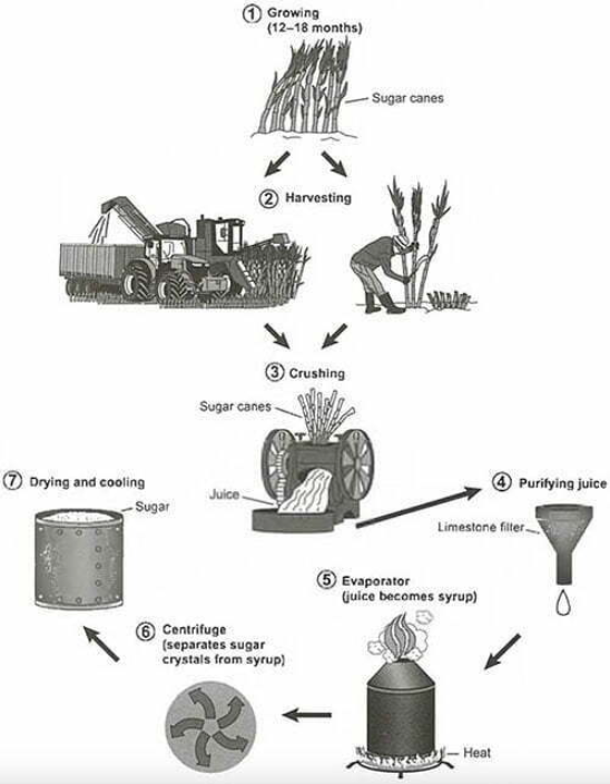 the diagram shows the manufacturing process of sugar - writing task 1