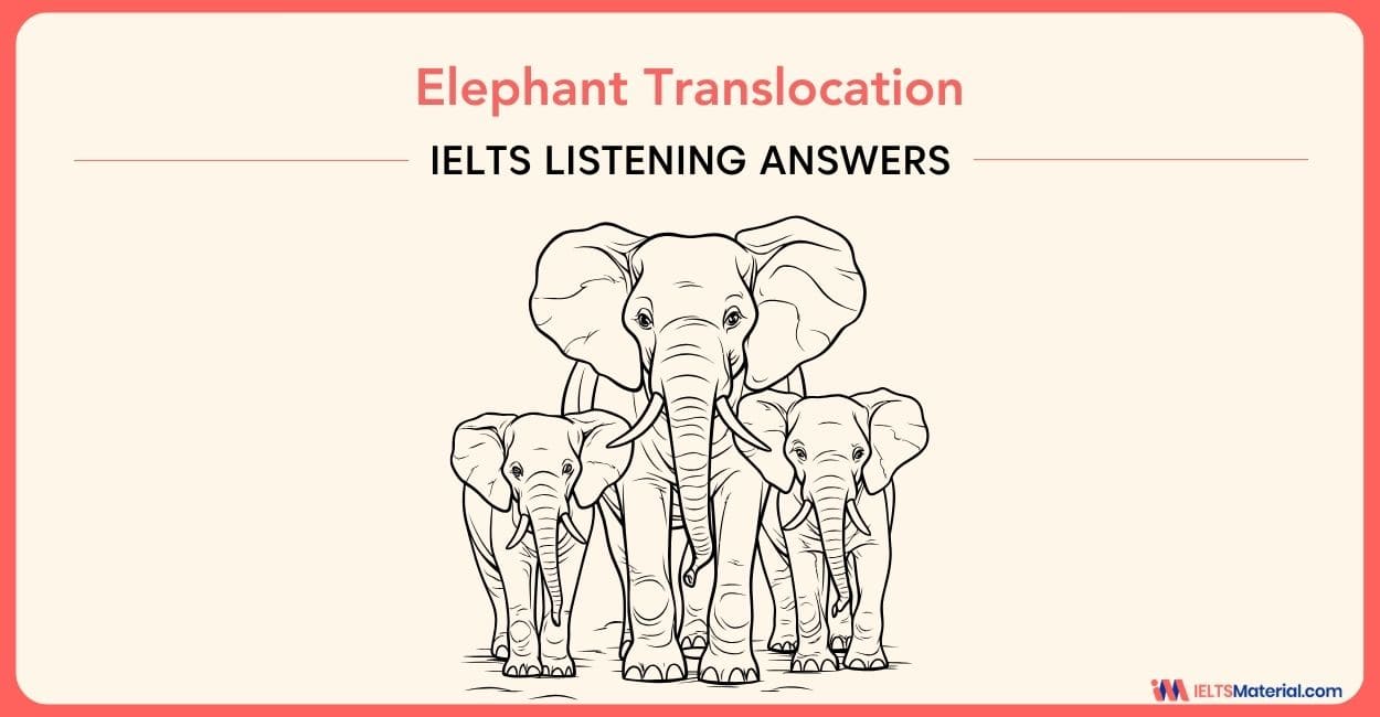 Elephant Translocation – IELTS Listening Answers