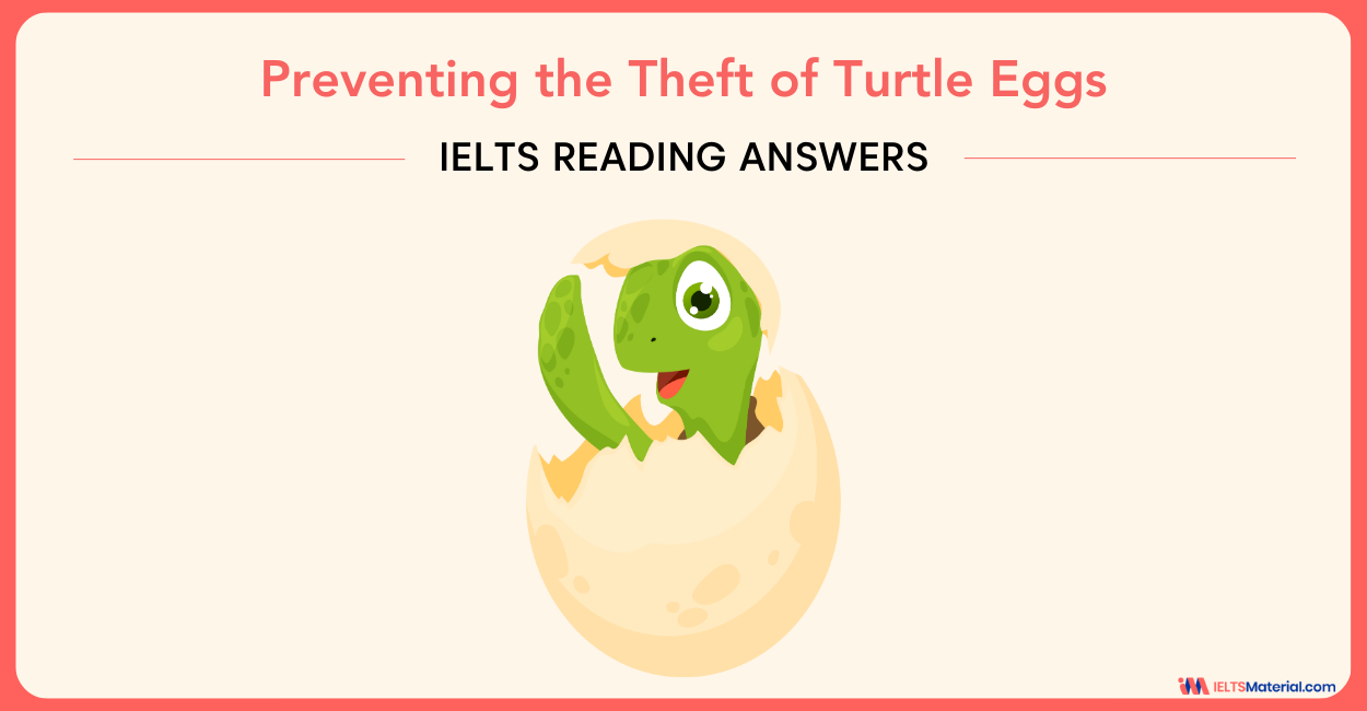 Preventing the Theft of Turtle Eggs – IELTS Reading Answers