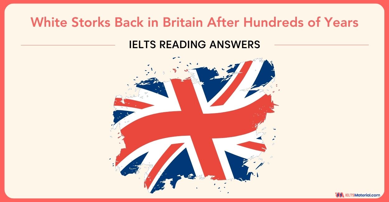 White Storks Back in Britain After Hundreds of Years – IELTS Reading