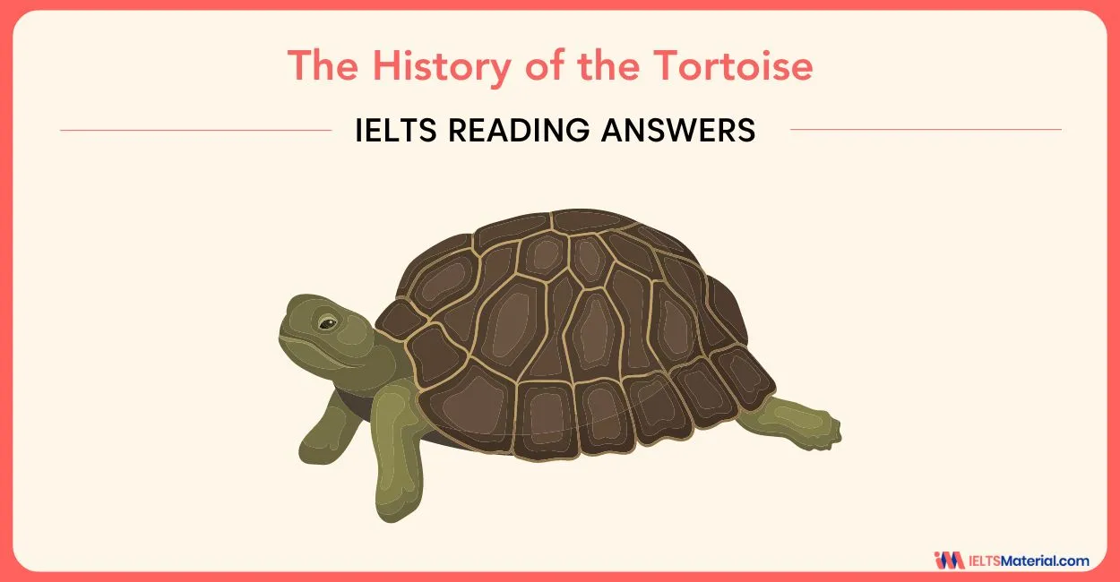 The History of the Tortoise – IELTS Reading Answers